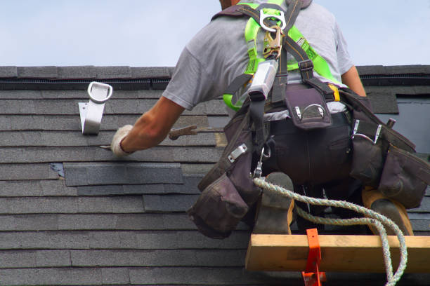 Best Storm Damage Roof Repair  in Braddock Hills, PA