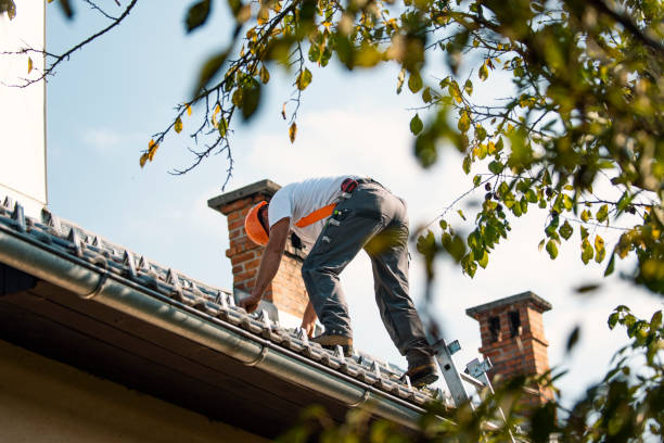 Best Gutter Installation and Roofing  in Braddock Hills, PA