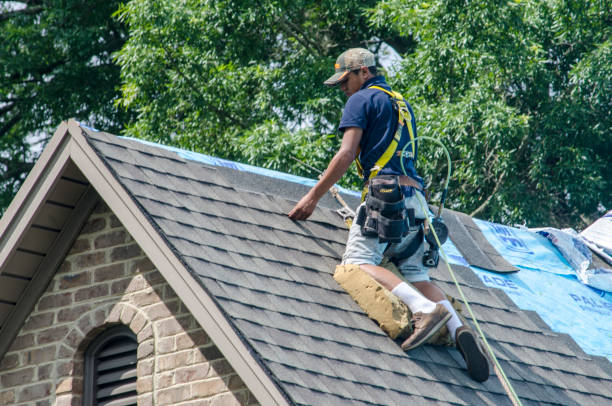 Best Roof Leak Repair  in Braddock Hills, PA